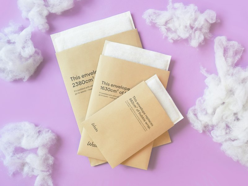Bubble-Lined Envelopes