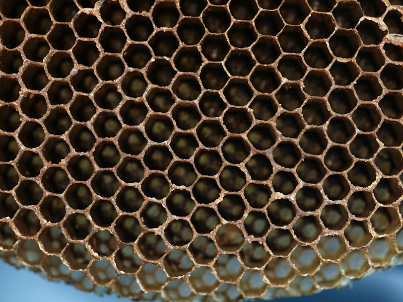 Honeycomb Paper Wrap