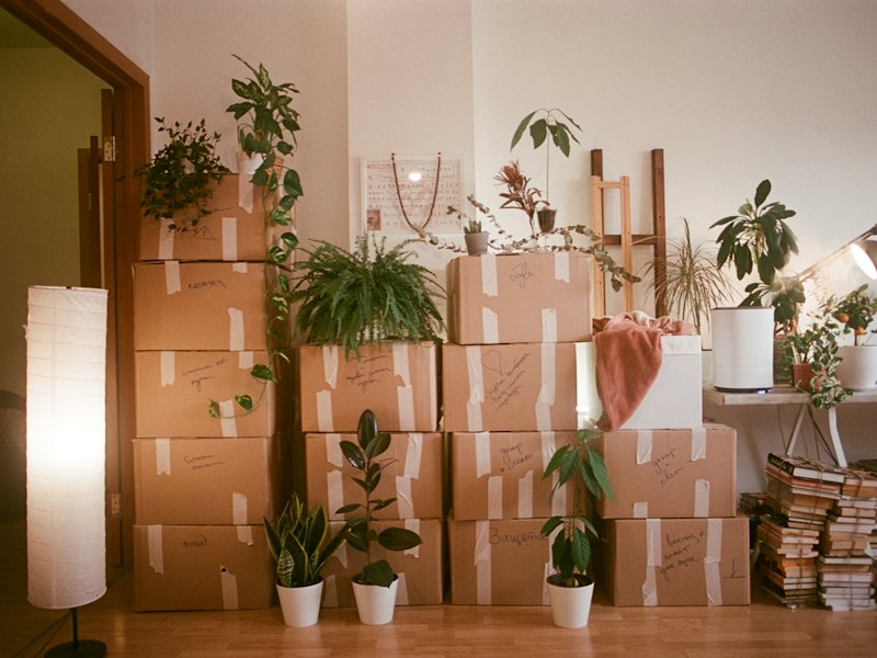Removal Boxes